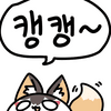 캥캥