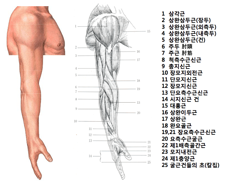 viewimage.php?id=3baf&no=24b0d769e1d32ca73dec86fa11d02831e11ed4e1ce518c3fae84bae863908e5dd48b5464abb0286e5b06f80d5d90860ecb49de8d2bee2d3989322db26e5d9c4351230f079b9b71280483f04dc2c975f1cc9be8984e91087044ca1c48e8509d